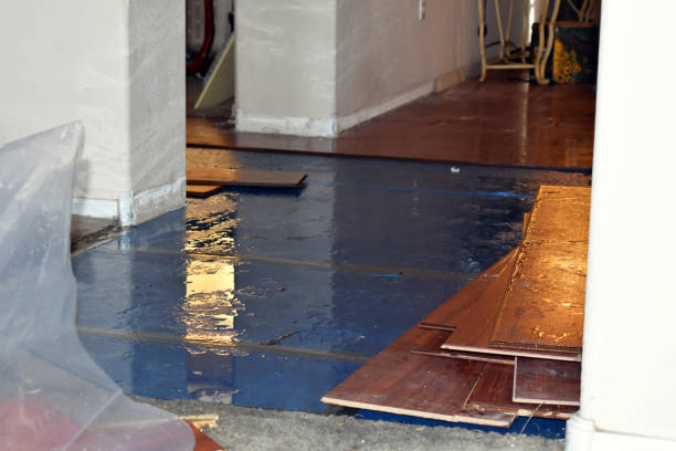 Professional Burst Pipe Water Damage technician working in Franklin, TX